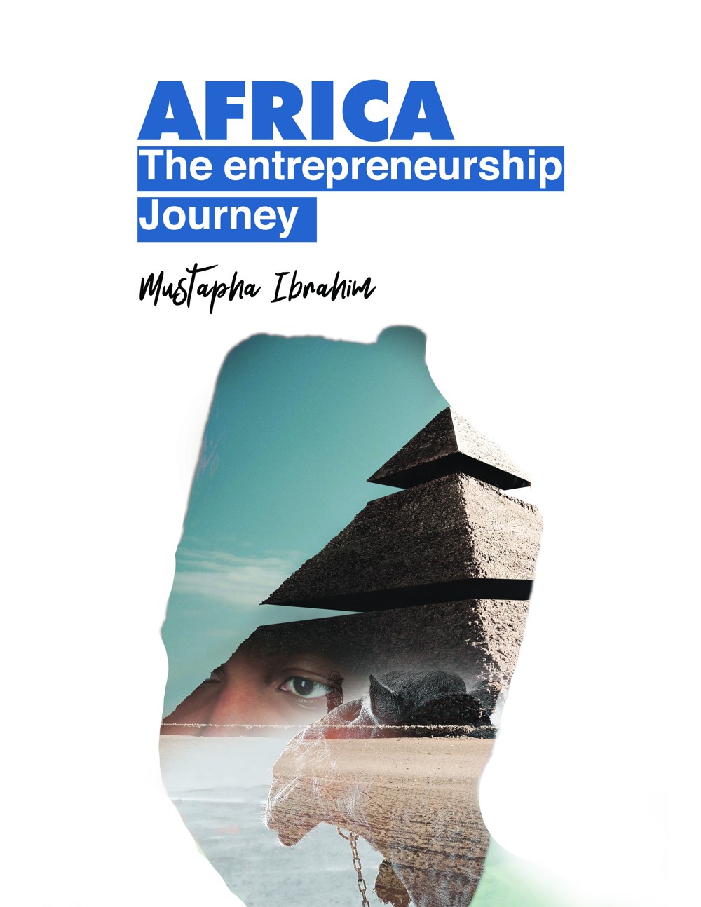 Africa: The Entrepreneurship Journey book cover